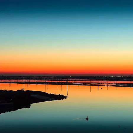 Appartement In 15 Rosolina Mare